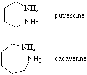 putrescine and cadaverine