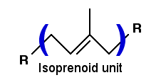 Isoprenoid subunit