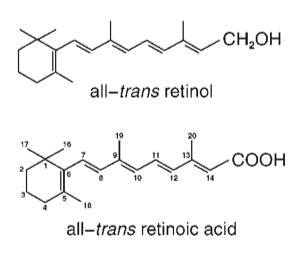 Retinol and Retinoic Acid structures