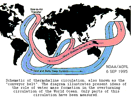 global thermohaline 
circulation