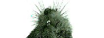 a-b0.gif
