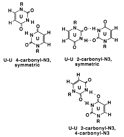 Subset of a figure from : Ignacio Tinoco, Jr. in  Gesteland, R. F. and Atkins, J. F. (1993) THE 
RNA WORLD. Cold Spring  Harbor Laboratory Press.