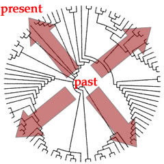 time and tree
