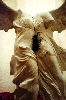 ANgEL GLuE